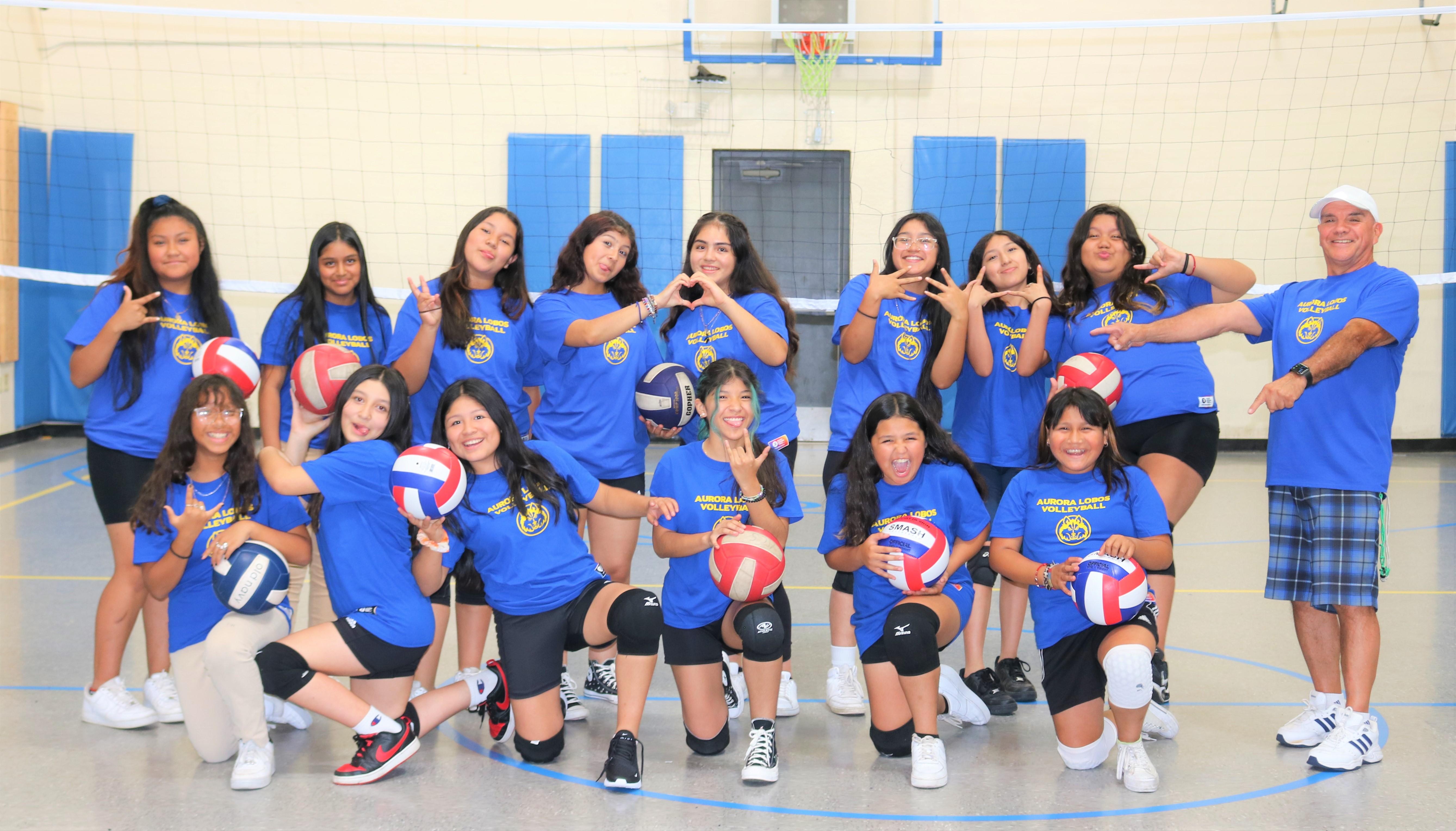 fun volleyball team